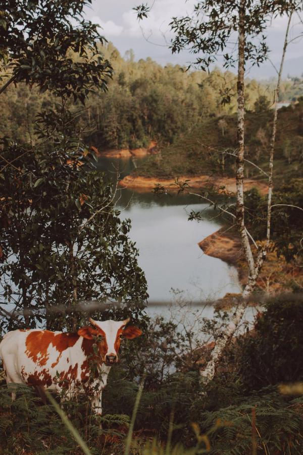 Cabanas Refugio Himalaya Guatapé 외부 사진