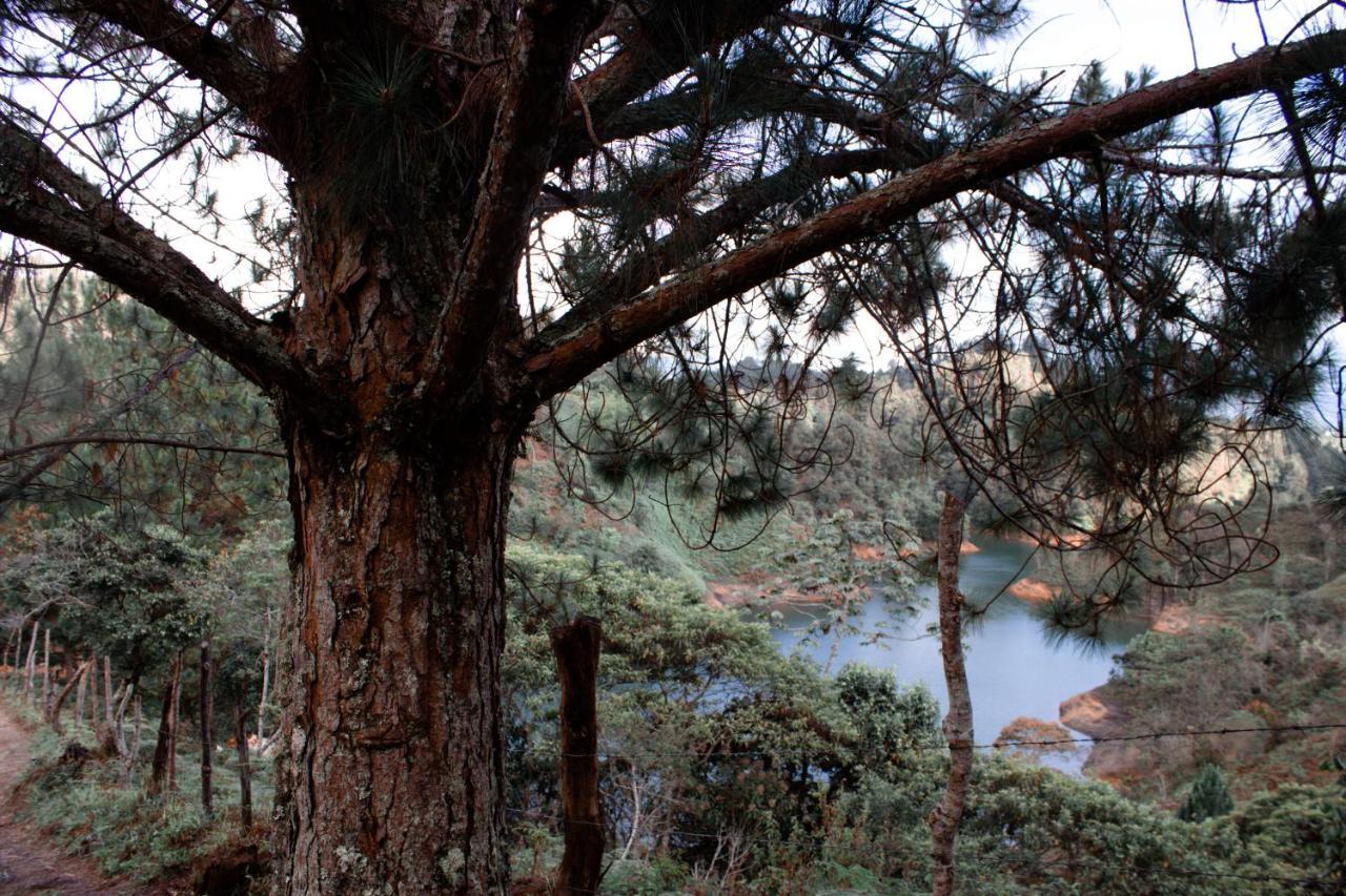 Cabanas Refugio Himalaya Guatapé 외부 사진